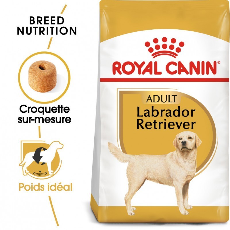 royal-canin-labrador-adult-12kg